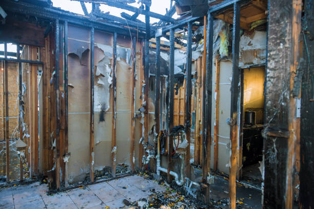 Professional Fire Damage Repair technician working in North Branch, MN